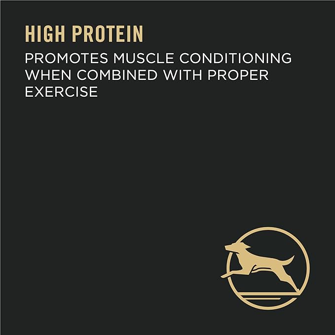 Purina Pro Plan High Protein, Digestive Health Large Breed Dog Food Dry, Chicken and Rice Formula - 47 lb. Bag - PAWPICO