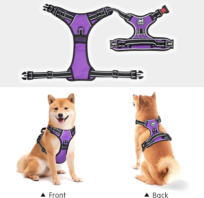 PoyPet No Pull Dog Harness, No Choke Front Lead Dog Reflective Harness, Adjustable Soft Padded Pet Vest with Easy Control Handle for Small to Large Dogs(Purple,XS) PoyPet