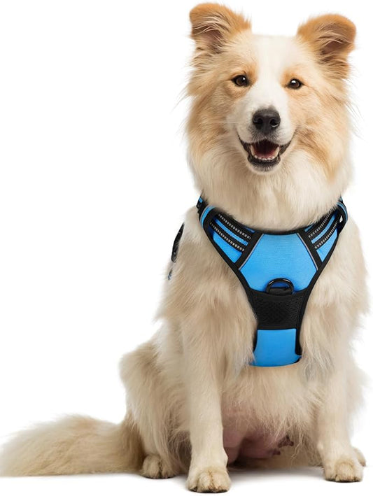 rabbitgoo Dog Harness No Pull with 2 Leash Clips, Adjustable Soft Padded, Reflective Oxford No Choke Pet Vest with Easy Control Handle for Medium Sized Dogs, Blue, M rabbitgoo
