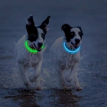 2-Pack LED Dog Collar, Light Up Dog Collars,Rechargeable Dog Lights for Night Walking，Universal, Reusable Safety Necklace for Small Medium Large Dogs Green&Blue - PAWPICO
