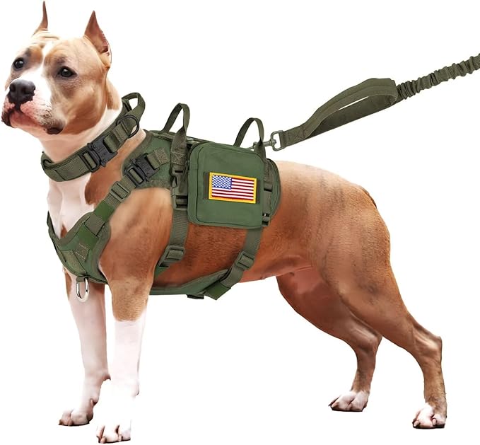 Forestpaw Tactical Dog Harness for Large Dogs,Tactical Dog Collar with Bungee Leash Set,No Pull Military Dog Harness for Dog Walking Training,Adjustable for Medium Large Dogs,Green S Forestpaw