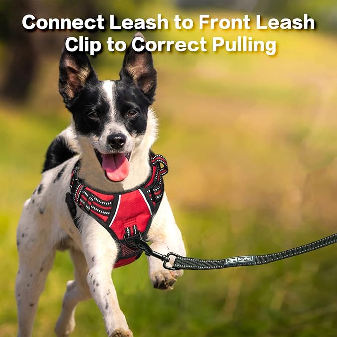 PoyPet No Pull Dog Harness, No Choke Front Clip Reflective Dog Vest with Soft Padded Vertical Handle, 3 Leash Attachments for Small Medium Large Dogs (Red,L) PoyPet