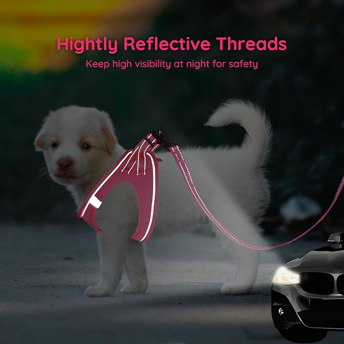 BELLA & PAL Puppy Harness with Leash Set, Dog Harness for Small Dogs No Pull, Dog Leash for Small Dogs, Step in Harness for Extra Small Dogs, Hot Pink Harness, XS BELLAPAL