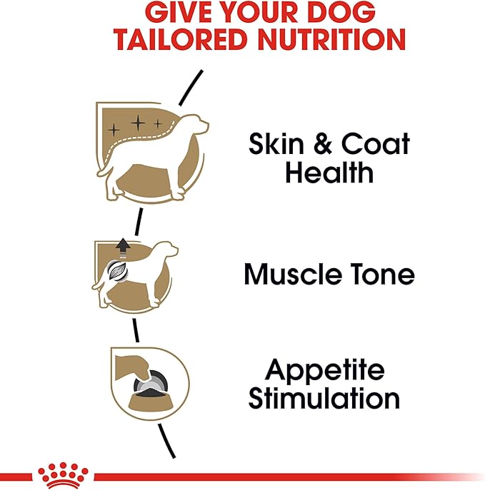 Royal Canin Poodle Adult Breed Specific Wet Dog Food, 3 oz can 4-pack - PAWPICO