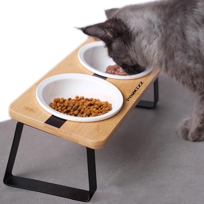 Elevated Cat Ceramic Bowls Stand for Food and Water, Small Dog, Anti Vomit, Indoor Cats, Tilted Feeding Position, Full Bamboo Body Stand with Food Grade, Whisker Friendly Dish for Cats and Puppy - PAWPICO