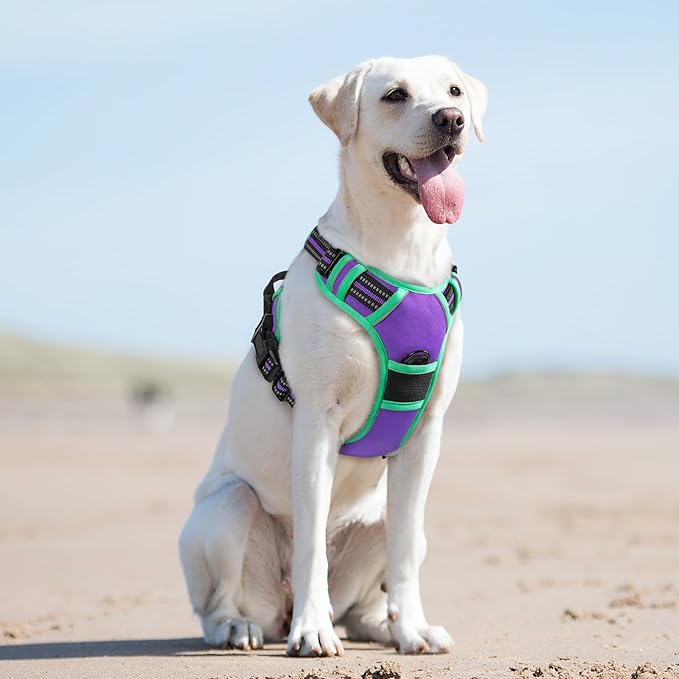 Eagloo Dog Harness for Large Dogs, No Pull Service Vest with Reflective Strips and Control Handle, Adjustable and Comfortable for Easy Walking, No Choke Harness with 2 Metal Rings, Purple & Green, L GoExplorewithEagloo
