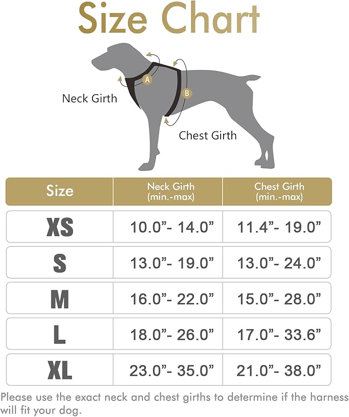 rabbitgoo Dog Harness, No-Pull Pet Harness with 2 Leash Clips, Adjustable Soft Padded Dog Vest, Reflective No-Choke Pet Oxford Vest with Easy Control Handle for Medium Dogs, Beige, M - PAWPICO