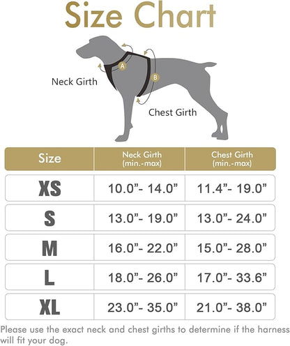 rabbitgoo Dog Harness, No-Pull Pet Harness with 2 Leash Clips, Adjustable Soft Padded Dog Vest, Reflective No-Choke Pet Oxford Vest with Easy Control Handle for Medium Dogs, Beige, M - PAWPICO