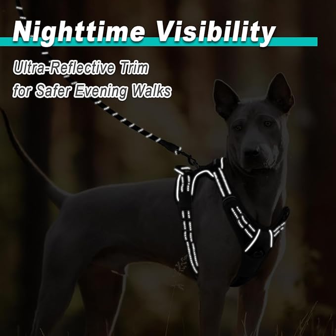 BARKBAY Dog Harness No Pull for Large Dogs - Adjustable, Reflective, Comfortable, No Choke, Heavy-Duty - Perfect for Outdoor Training, Walking, and Hiking - Strong & Durable - L & Black BARKBAY
