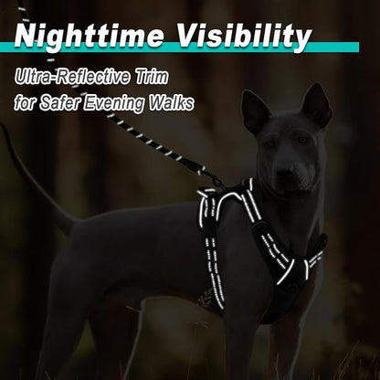 BARKBAY Dog Harness No Pull for Medium Dogs - Adjustable, Reflective, Comfortable, No Choke, Heavy-Duty - Perfect for Outdoor Training, Walking, and Hiking - Strong & Durable - M & Black BARKBAY