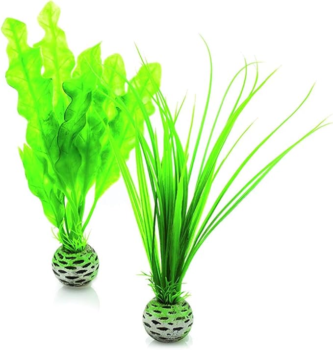 biOrb Easy Plant Pack, Small (Pack of 2) biOrb