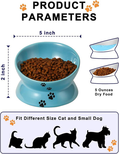 Y YHY Elevated Cat Food Bowl, Ceramic Raised Cat Bowl, Tilt Angle Protect Cat's Spine, Anti Vomiting Cat Dish, Backflow Prevention, Lake Blue - PAWPICO