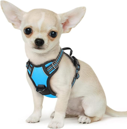 Eagloo Small Dog Harness No Pull, Service Vest with Reflective Strips and Control Handle, Adjustable and Comfortable for Easy Walking, No Choke Pet Harness with 2 Metal Rings, Sky Blue, XS GoExplorewithEagloo