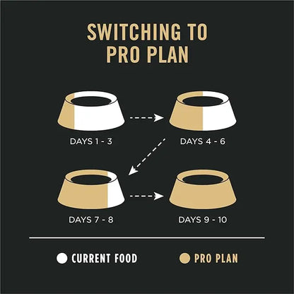 Purina Pro Plan Sensitive Skin and Stomach Dog Food Dry, Adult Salmon & Rice Formula, Digestive Health - 30 lb. Bag - PAWPICO