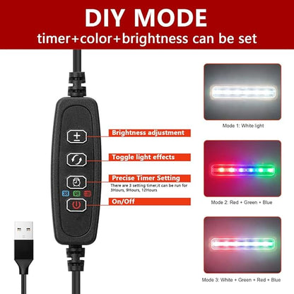 Betta Fish Tank, 2 Gallon Glass Aquarium Starter Kit, Small Fish Tank with Filter and Light. Pronetcus