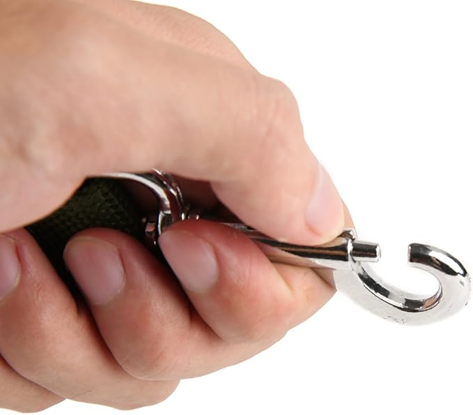 Nylon Dog Training Leash, Traction Rope, 4/5/6 Feet Long, 3/4 Inch 1 Inch Wide, for Small and Medium Dogs (1'' x 4 FT, Green) TAIDA