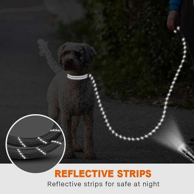Taglory Rope Dog Leash 4 FT with Comfortable Padded Handle, Highly Reflective Threads Leash for Small Dogs, 3/8 inch, Grey Taglory