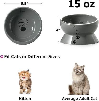 Y YHY Elevated Cat Food Bowl, Raised Pet Food and Water Bowl, Ceramic, 15oz - PAWPICO