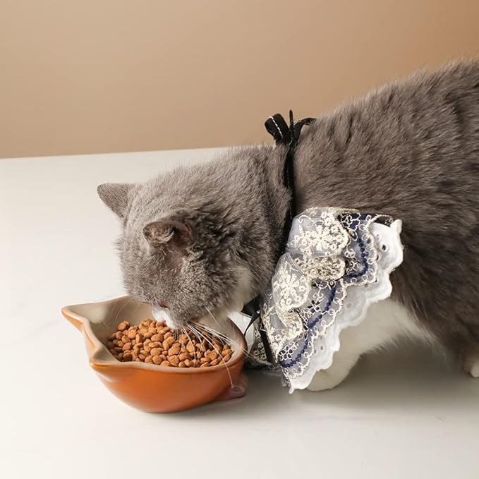 Nihow Ceramic Basic Cat Bowls: 5 Inch Cat Bowl for Food & Water - Food Grade Cat Dish for Small-Sized Cat - Microwave & Dishwasher Safe -Elegant Brown (4.25 OZ /1 PC) - PAWPICO