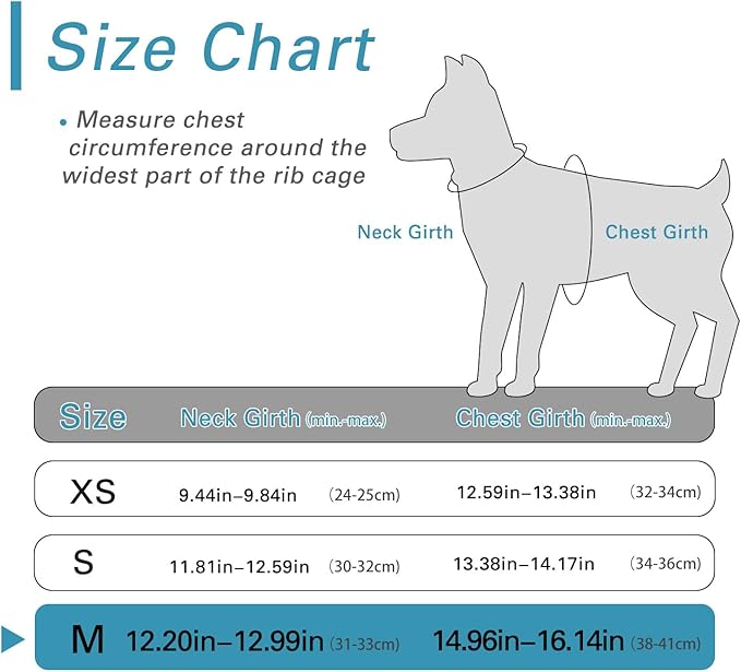 Dog Harness for Small Dogs, Small Dog Harness and Leash Set, Honeycomb Grid, Reflective Lightweight Harness & Anti-Twist Pet Lead,Dog Harness(Multi Color, Size: XS-S-M) (M, Blue) PAWPICO