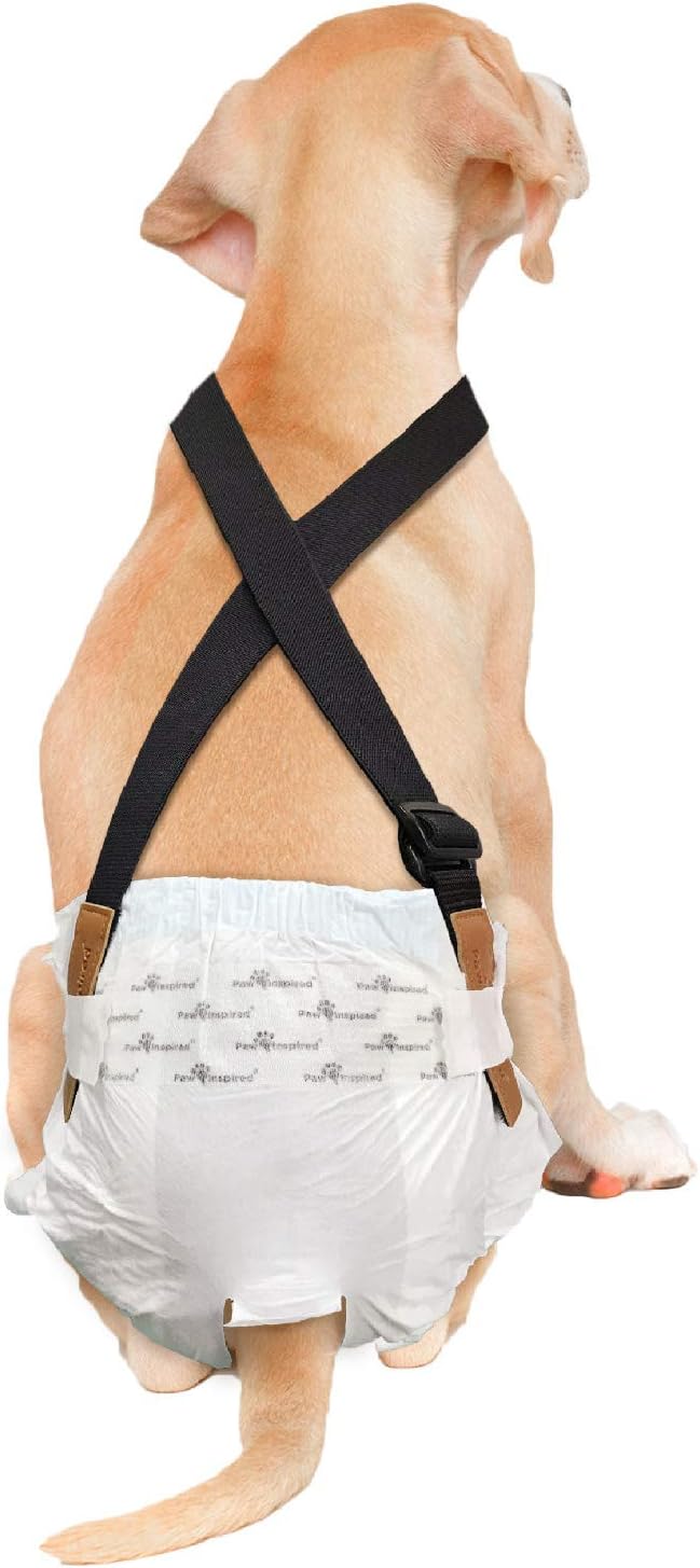 Paw Inspired Dog Diaper Suspenders with Velcro Fasteners | Stretchy Adjustable Suspenders for Female and Male Disposable and Washable Diapers | Fits Small, Medium and Large Size Pets (M/L, Black) - PAWPICO