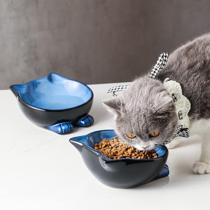 Nihow Ceramic Basic Cat Bowls: 6.25 Inch Cat Bowl for Food & Water - Food Grade Cat Dish for Large-Sized Cat/Medium-Sized Dog - Microwave & Dishwasher Safe -Elegant Blue & Black (8.5 OZ /1 PC) - PAWPICO