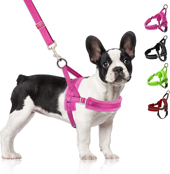 SlowTon No Pull Small Dog Harness and Leash Set, Puppy Soft Vest Harness Neck & Chest Adjustable, Reflective Lightweight Harness & Anti-Twist Pet Lead Combo for Small Medium Dogs(FU,M) SlowTon