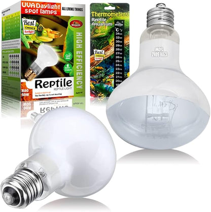 2 Pack 50W Reptile Heat Lamp Bulb Amphibian Basking Light Bulb, Reptile Daylight Bulb for Turtle, Bearded Dragon, Lizard,Chicken with Stick-on Digital Temperature Thermometer bestchoiceforyourreptiles