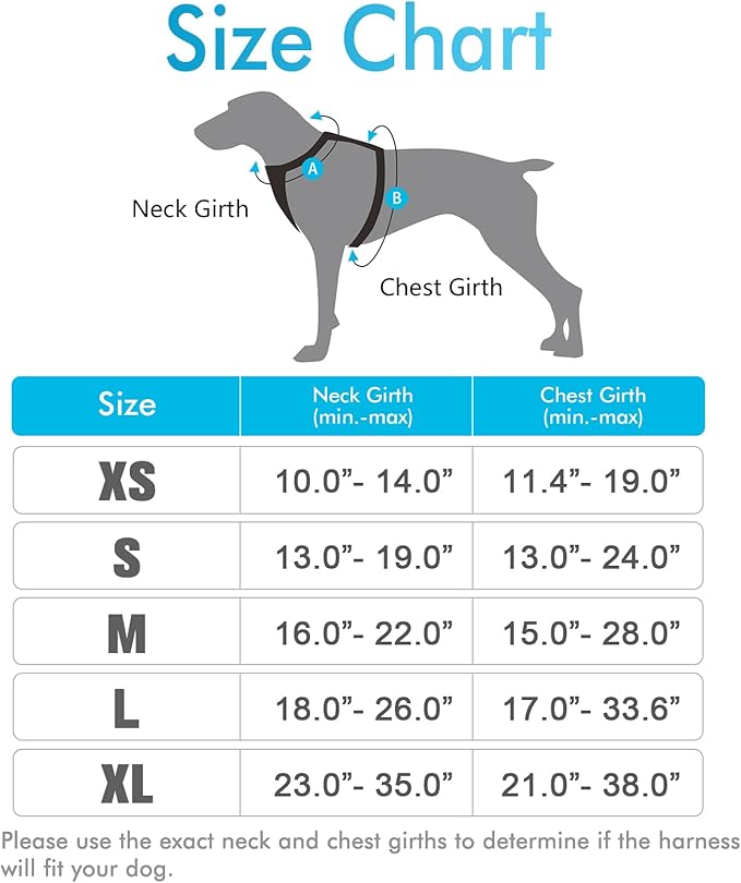 rabbitgoo Dog Harness, No-Pull Pet Harness with 2 Leash Clips, Adjustable Soft Padded Dog Vest, Reflective No-Choke Pet Oxford Vest with Easy Control Handle for Small Dogs, Blue, S - PAWPICO