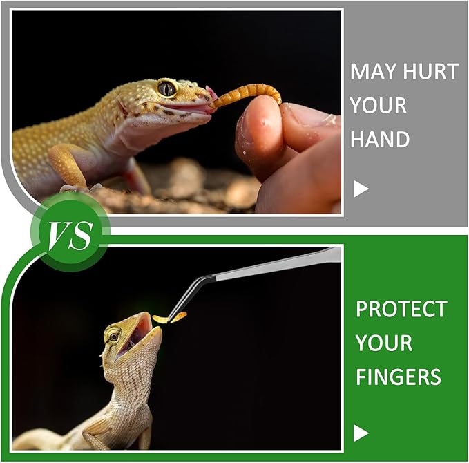 Lasnten 2 Pcs Extra Long Stainless Steel Reptile Feeding Tongs with Rubber Tip Bearded Dragon Aquarium Straight and Curved Long Tweezer Terrarium Feeder Tool for Tank(Silver, 15 Inch) Lasnten