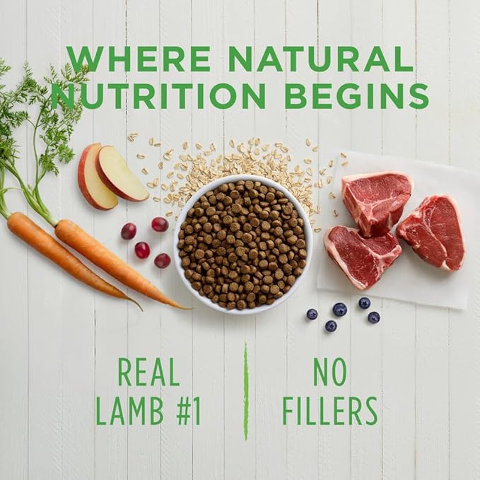 Instinct Be Natural Real Lamb & Oatmeal Recipe Natural Dry Dog Food, 24 lb. Bag - PAWPICO