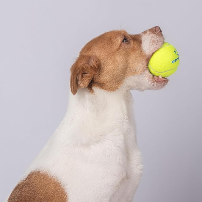 Best Pet Supplies Squeaky Tennis Toys for Dogs, 4-Pack, Heavy-Duty Interactive Pet Toys for Throwing and Fetching, Supports Exercise and Natural Behavior Training, Durable - Medium - PAWPICO