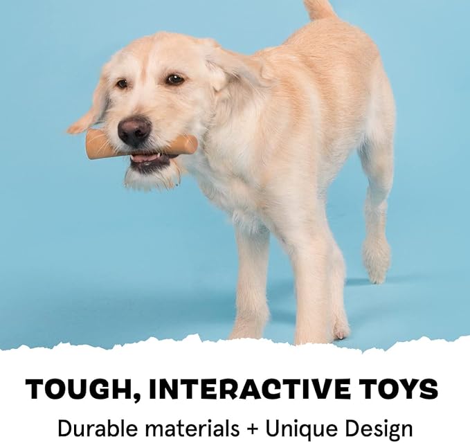 Barkbox Super Chewer Tough Dog Chew Toys for Aggressive Chewers, Dental Stimulating (PB Bone - Small) - PAWPICO