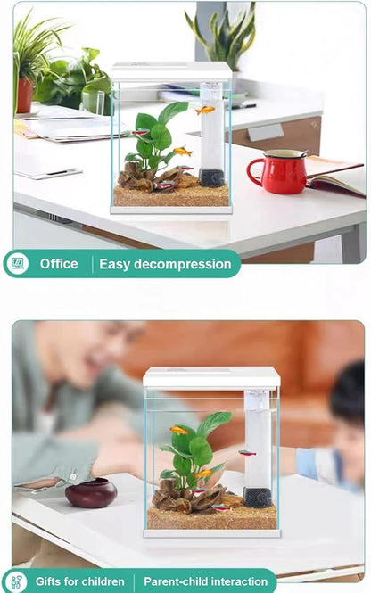 Betta Fish Tank, 2 Gallon Glass Aquarium Starter Kit, Small Fish Tank with Filter and Light. Pronetcus