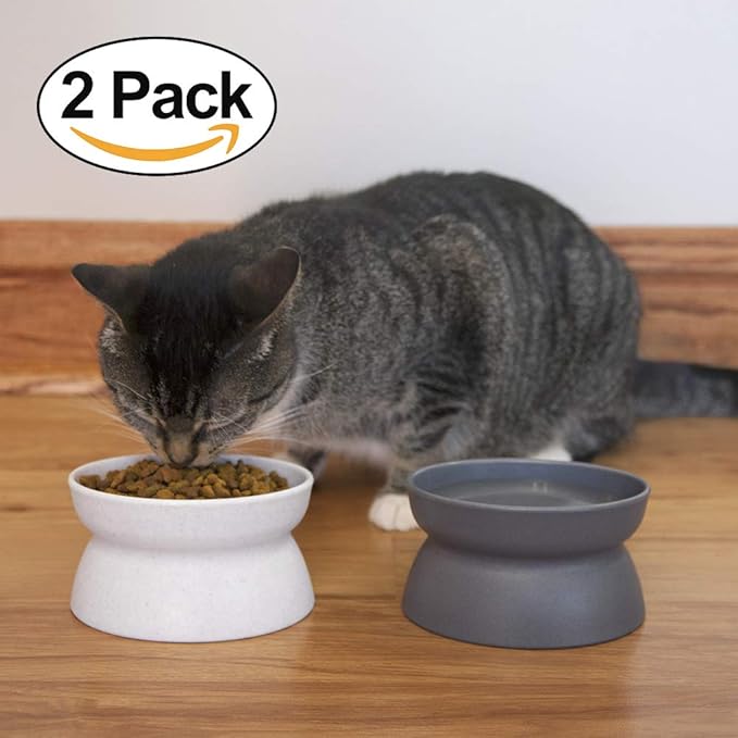 Kitty City Raised Cat Bowls, Small Bowl 2pk (Modern) - PAWPICO