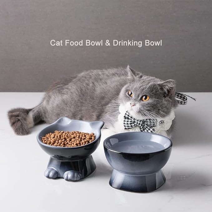 Nihow Elevated Cat/Dog Bowls: 5 Inch Ceramic Raised Cat Food & Water Bowl Set for Protecting Pet's Spine - Feeding & Watering Supplies for Pets - Elegant Gray (4.5 OZ /1 PC) - PAWPICO