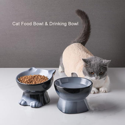 Nihow Ceramic Raised Cat & Dog Bowls: 5 Inch Elegant Gray (2 PC), Protecting Pet's Spine, Feeding & Watering Supplies, Modern Design, Anti Vomiting, Whisker Friendly - PAWPICO