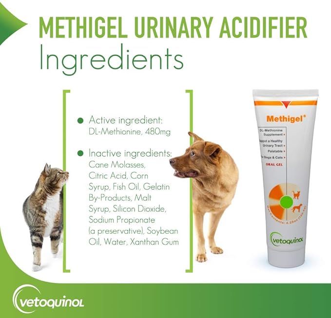 Vetoquinol Methigel Urinary Acidifier to Promote Urinary and Bladder Health for Dogs & Cats Vetoquinol