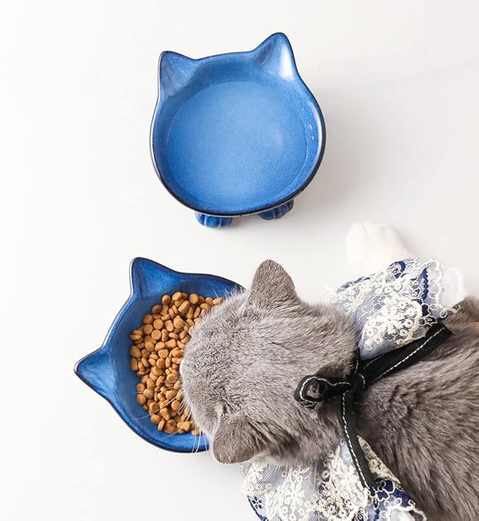 Nihow Ceramic Basic Cat Bowls: 5 Inch Cat Bowl for Food & Water - Food Grade Cat Dish for Small-Sized Cat - Microwave & Dishwasher Safe -Elegant Blue & Black (4.25 OZ /1 PC) - PAWPICO