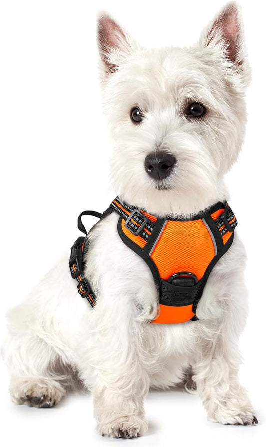 rabbitgoo Dog Harness No Pull with 2 Leash Clips, Adjustable Soft Padded, Reflective Oxford No Choke Pet Vest with Easy Control Handle for Puppy, Orange,XS rabbitgoo