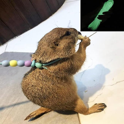 1 Pcs Adjustable Lizard Harness Adjustable Walking Harness Bearded Dragon Leash Reptile Dragon Leash Adjustable Harness Lead for Small Animal Hamster Reptiles Duoduole