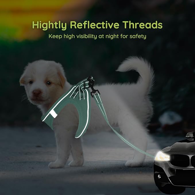 BELLA & PAL Small Dog Harness with Leash Set, Light Green, Size S, No Pull, Reflective Strips, Step-in Design BELLAPAL