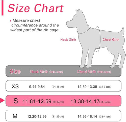 Dog Harness for Small Dogs, Small Dog Harness and Leash Set, Honeycomb Grid, Reflective Lightweight Harness & Anti-Twist Pet Lead,Dog Harness(Multi Color, Size: XS-S-M) (S, Rose red) PAWPICO