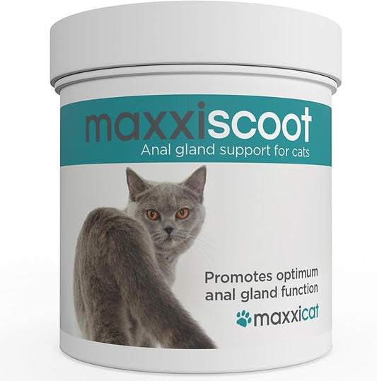 maxxiscoot Anal Gland & Digestive Health Support for Cats - Powder Supplement, 3.2oz maxxipaws