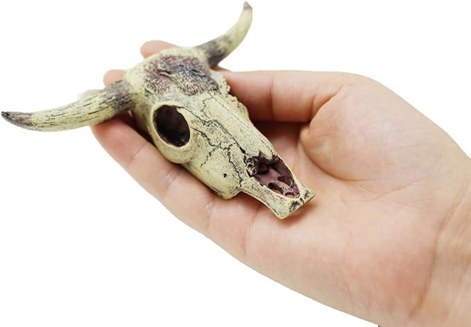 Leoyoubei Aquarium Decoration, Fish Tank Small Skull,Fish Turtle Hidden, Bonsai beautification. Cave Landscape Pet Reptile House Shrimps & Snails Love Them (Cattle Skull) Leoyoubei