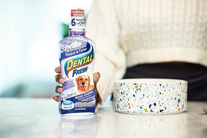 Dental Fresh Advanced Plaque and Tartar Water Additive, 8oz – Dog Teeth Cleaning Formula to Freshen Breath and Improve Overall Oral Health DentalFresh