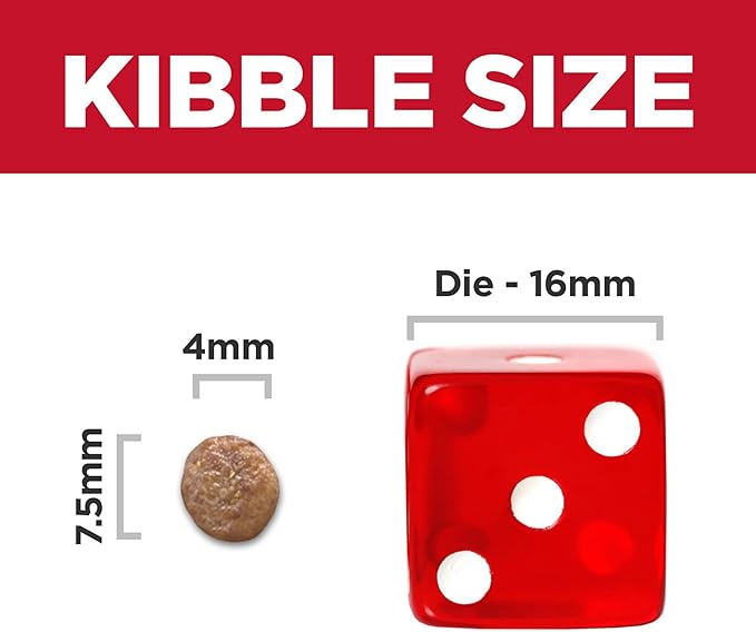 Hill's Science Diet Adult 7+ Small & Mini Chicken Meal & Brown Rice Recipe Dry Dog Food 15.5 lbs. - PAWPICO