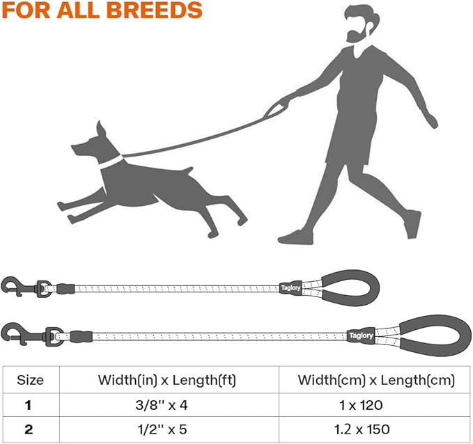 Taglory Rope Dog Leash 4 FT with Comfortable Padded Handle, Highly Reflective Threads Leash for Small Dogs, 3/8 inch, Purple Taglory