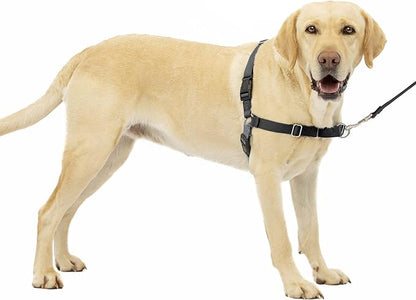 PetSafe Easy Walk No-Pull Dog Harness - The Ultimate Harness to Help Stop Pulling - Take Control & Teach Better Leash Manners - Helps Prevent Pets Pulling on Walks, Large, Charcoal/Black PetSafe