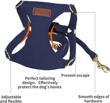 Puppytie No Pull Small Dog Harness with Multifunction Dog Leash,Lightweight Soft Adjustable No Choke Escape Proof Pet Harness Vest Pet Harness Vest,Navy,S Puppytie